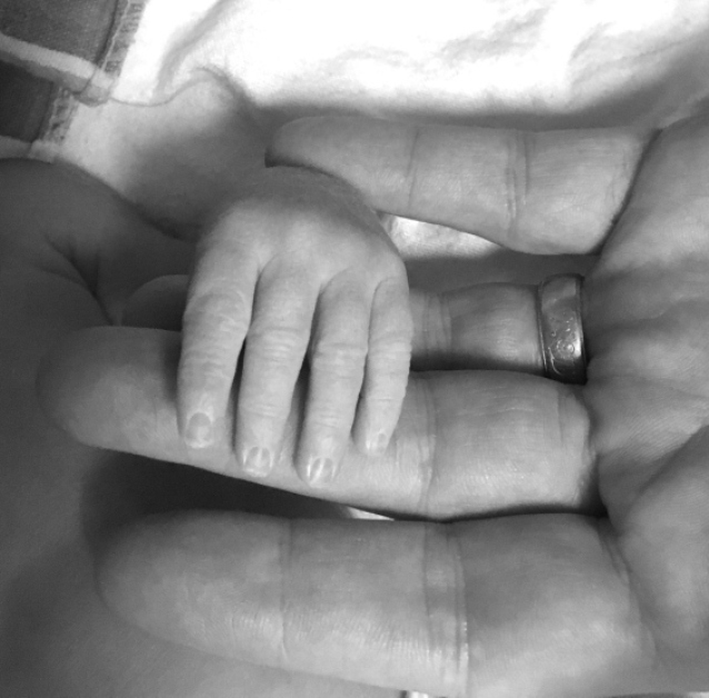 тори спелинг