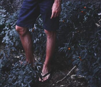 Не возете автомобил со апостолки, еве зошто!